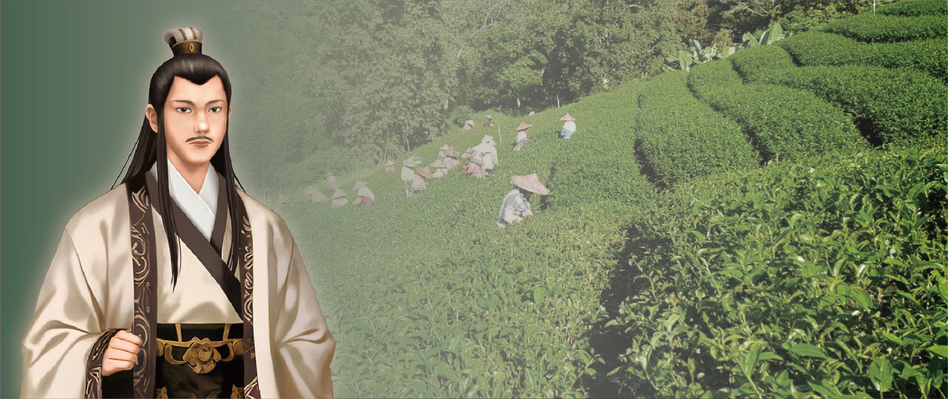 banner-蓫鹿茶莊-莊主-台灣高山茶-茶葉禮盒_工作區域 1